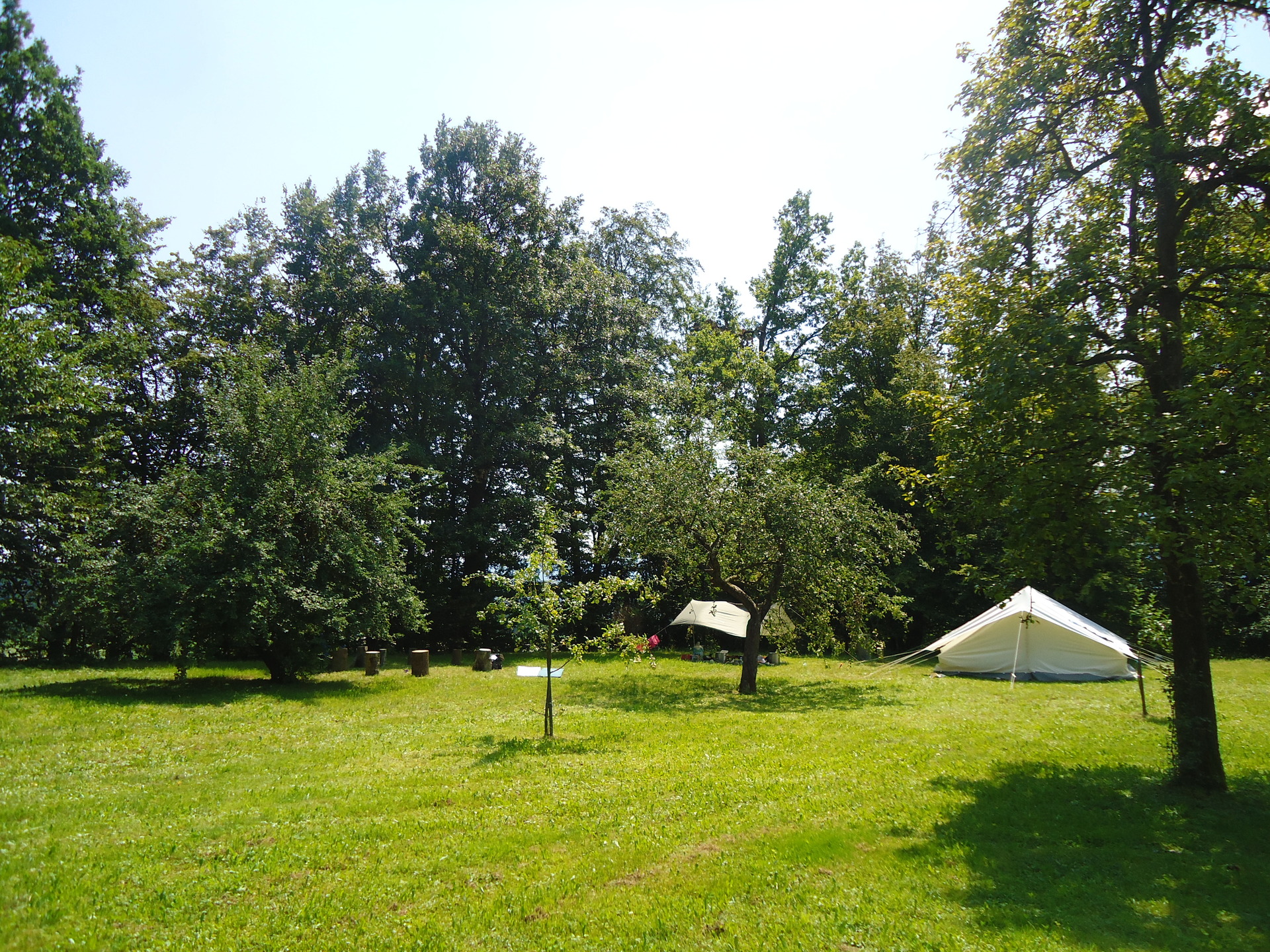 A picture of the green trees and a couple tents