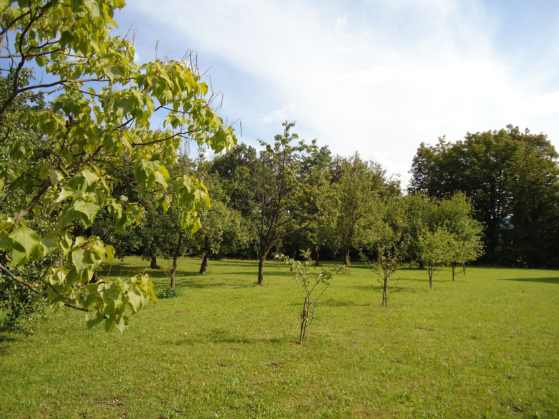 A view of the campsite before opening season