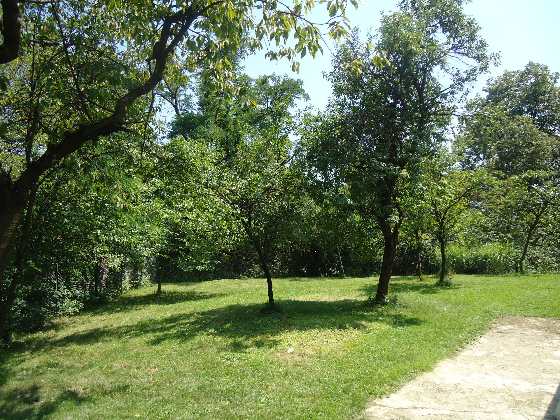 A small patch of grass a bit away from the main camp grounds
